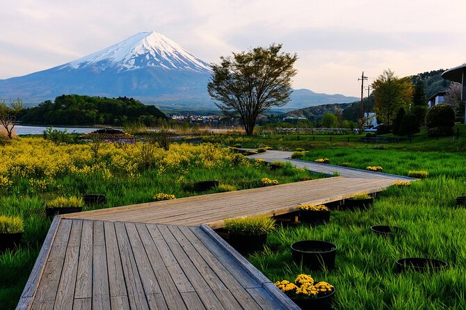 Mt.Fuji Private SightSeeing Day Tour (From Tokyo) - Lake Kawaguchiko: Classic Reflections and a Good Place to Rest
