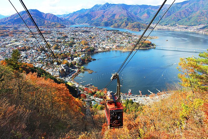 Mt.Fuji Private SightSeeing Day Tour (From Tokyo) - Oishi Park: Gardens, Charcoal Cone Soft Serve, and Mini Fuji Fun