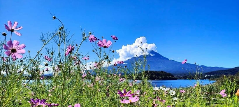 Mt. Fuji Private Tour With Hotel Pick Up From Tokyo - Key things that make this Fuji day worth it