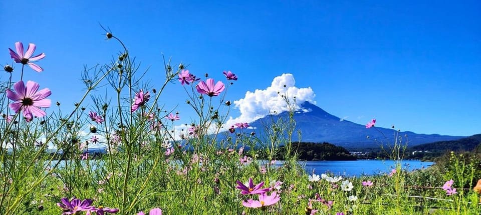 Mt. Fuji Private Tour With Hotel Pick Up From Tokyo - Getting started: Tokyo or Hakone pickup, door-to-door style