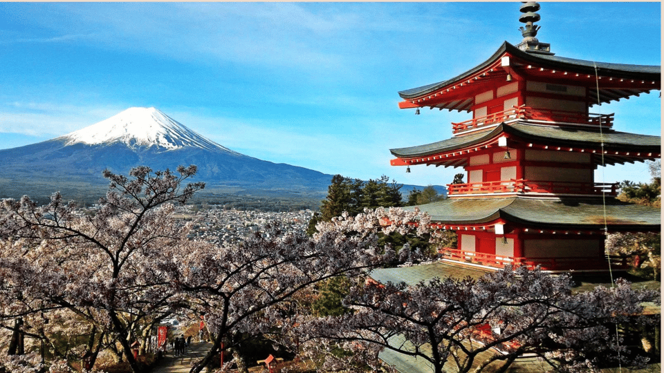 Mt Fuji Sightseeing Private tour with English Speaking Guide - Key things to know before you book