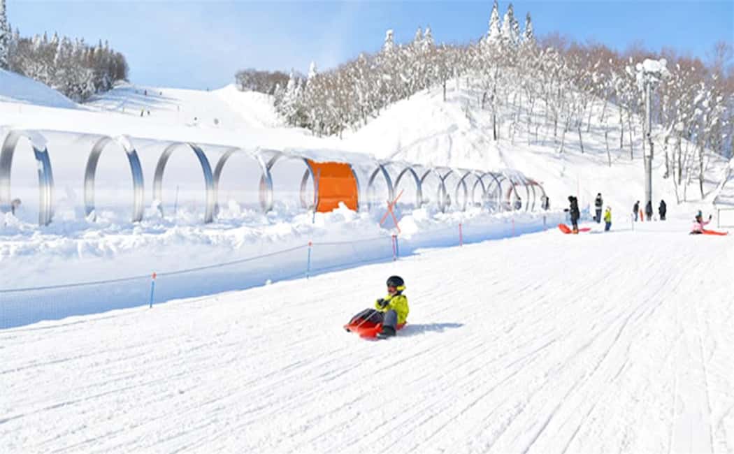 Mt. Fuji Skiing Experience- YETI Ski Resort & Onsen Day Trip - Konohana no Yu hot spring: why the Mt. Fuji bath is the right ending