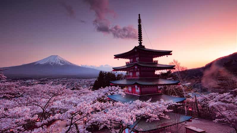 Mt Fuji Tour With Experienced English Driver - Key Things to Know Before You Go