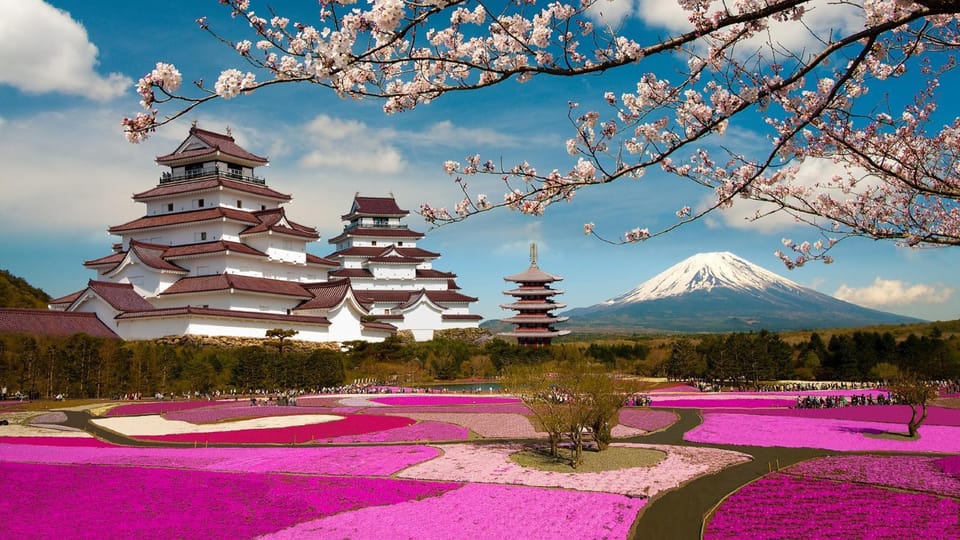 Mt Fuji Tour With Experienced English Driver - A Private-Day Fuji Plan From Tokyo in 10 Hours