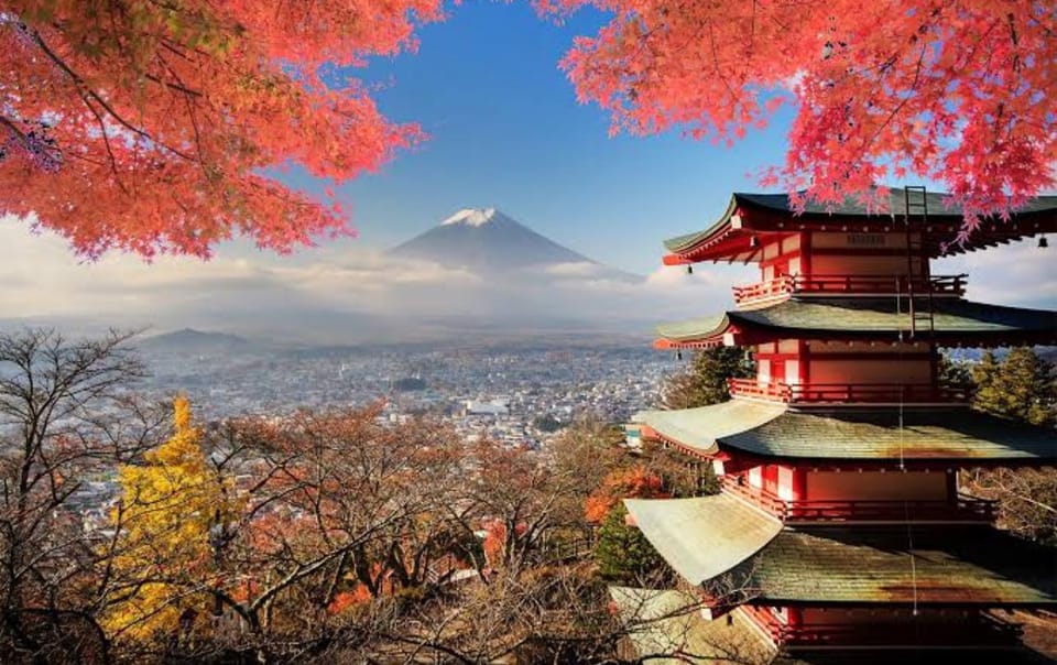 Mt Fuji Tour With Experienced English Driver - Oishi Park and Saiko Iyashi-no-Sato Nenba: The Slow Wander Portion