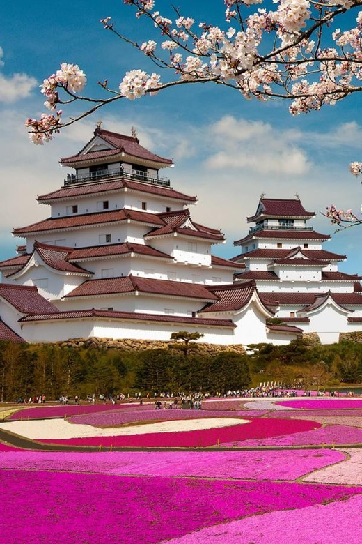 Mt Fuji Tour With Experienced English Driver - Oshino Hakkai Guided Look and the Kitaguchi-hongu Free Time Window
