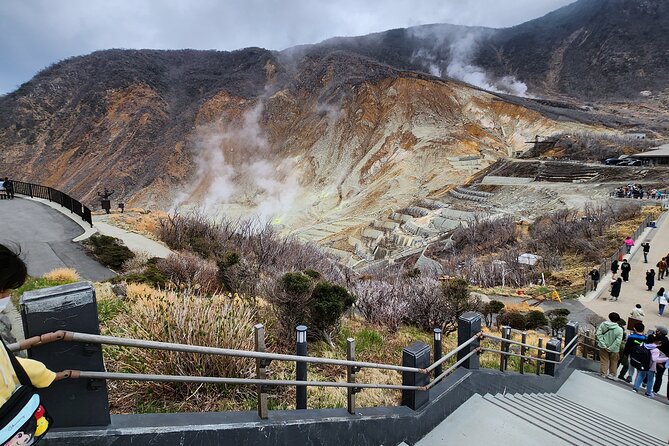 Mt.Fuji view Hakone Private tour with English speaking driver - Mishima Skywalk: A Fuji View in a Short Time Window