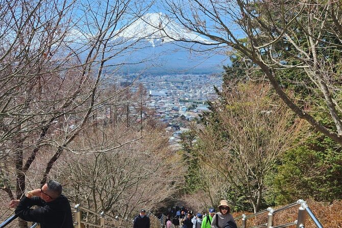 Mt.Fuji view Hakone Private tour with English speaking driver - Optional Gotemba Premium Outlets: The Shopping Button You Can Press