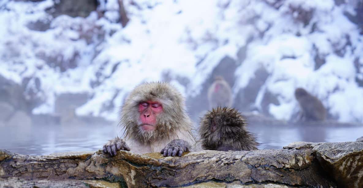 Nagano: Snow Monkeys, Zenkoji Temple & Sake Day Trip - Matsushiro Castle Ruins: Optional Samurai-Era Atmosphere