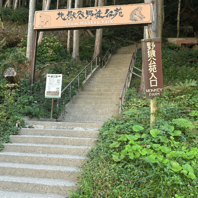 Nagano/Tokyo: Snow Monkey Private Day Tour At Lowest Rate - A Private Day That Actually Feels Like Your Day