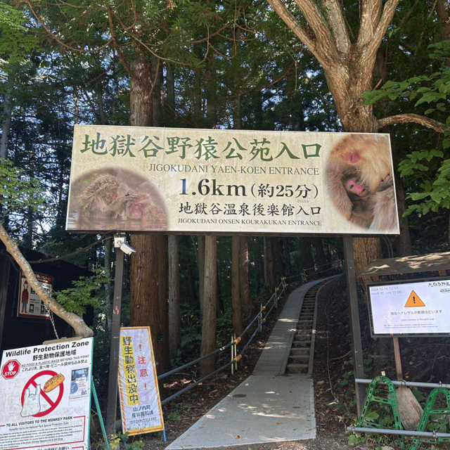 Nagano/Tokyo: Snow Monkey Private Day Tour At Lowest Rate - Pickup, Timing, and the Reality of Tokyo-to-Nagano Drive Time