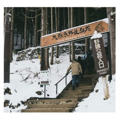 Nagano/Tokyo: Snow Monkey Private Day Tour At Lowest Rate - Price and Value: What $399 Covers (and Why It Can Be Fair)