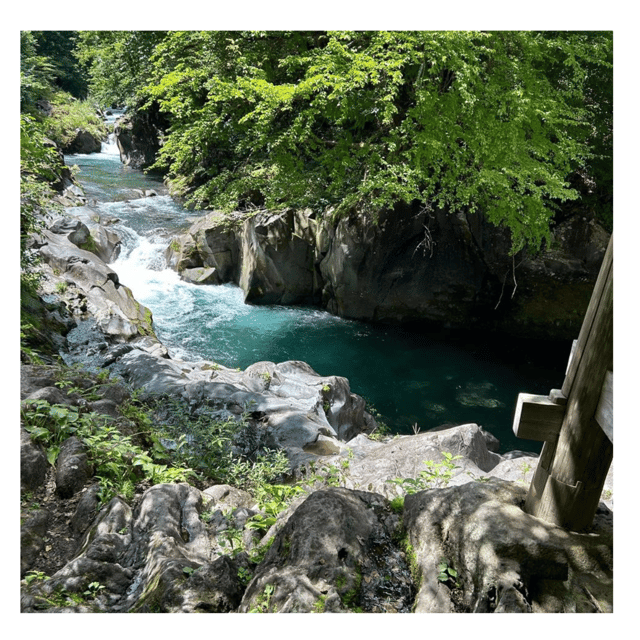 Nagano/Tokyo: Snow Monkey Private Day Tour At Lowest Rate - When You Customize: Samurai District and Togakushi Options
