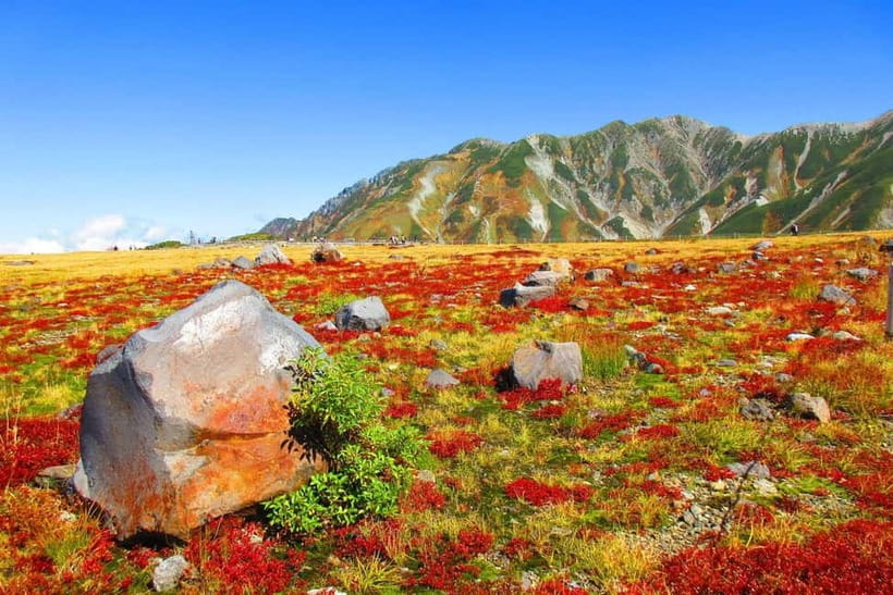 Nagano: World’s Edge Tateyama Kurobe Alpine Route Tour - Private pickup and the Ogizawa access that saves your brain