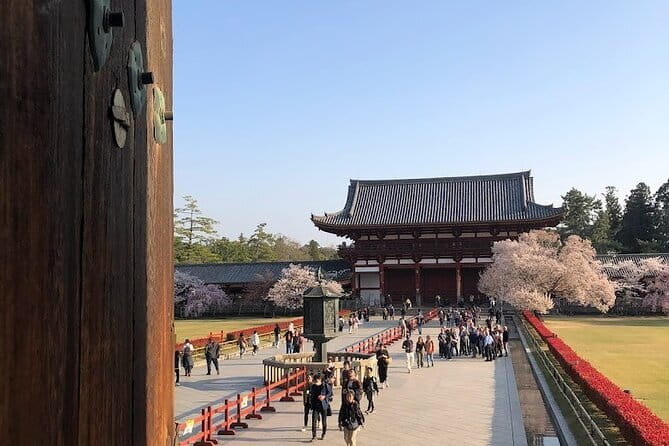 Narita Layover tour with National Licensed guide - How transport and timing work on a 4 to 6 hour schedule