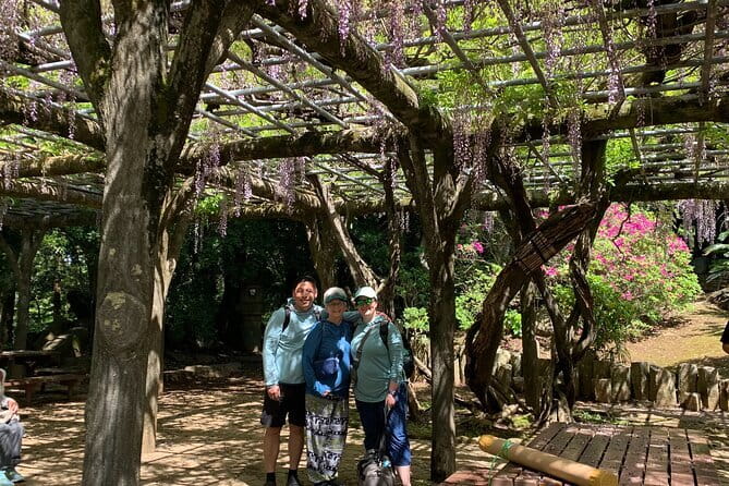 Narita Layover tour with National Licensed guide - Price and value: is $247.50 worth it for a Narita layover?