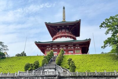 Narita-san Private Layover Tour from Narita International Airport - Omotesandō stroll: the smart way to feel Narita without extra time