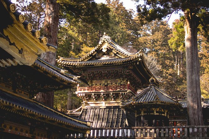 Nikko Private Day Tour from Tokyo with English-Speaking Driver - Nikko Toshogu Shrine: carvings, gold leaf, and your one-hour anchor