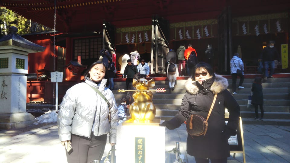 Nikko: Private Walking Tour with Local Guide - Nikko Tosho-gu: carved Edo-era craftsmanship you can actually read