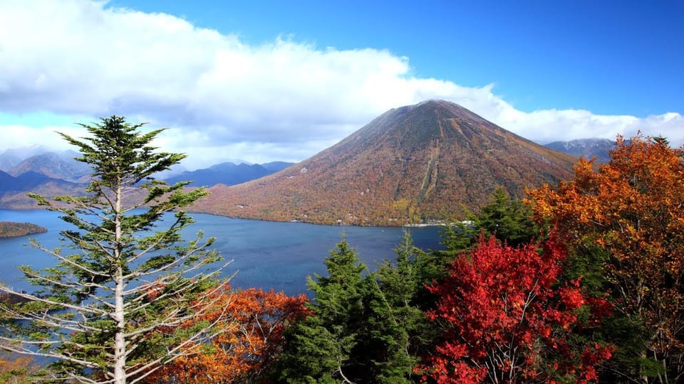 Nikko: Private Walking Tour with Local Guide - Who this tour fits best (and when to consider going solo)