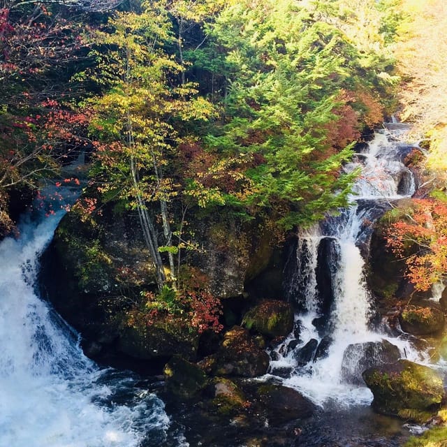 Nikko's Majestic Landscapes: Private Guided Tour - Lake Chūzenji: why this stop matters on a first Nikko visit