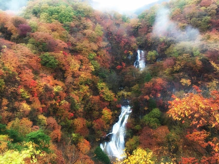 Nikko's Majestic Landscapes: Private Guided Tour - Rinno-ji Temple and Futarasan Shrine area: sacred rhythm, guided context