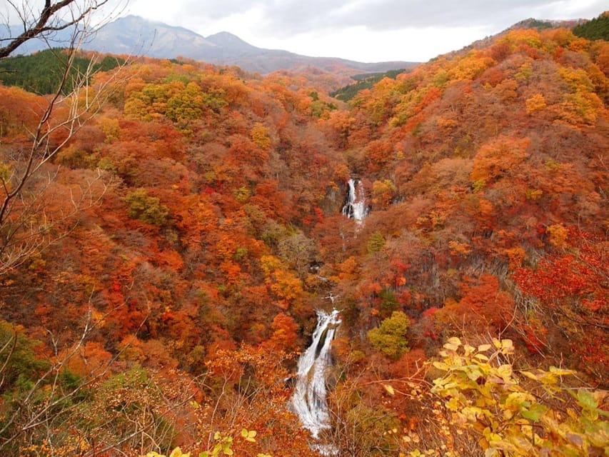 Nikko's Majestic Landscapes: Private Guided Tour - Shinkyo Bridge: the classic Nikko photo stop, done with guidance