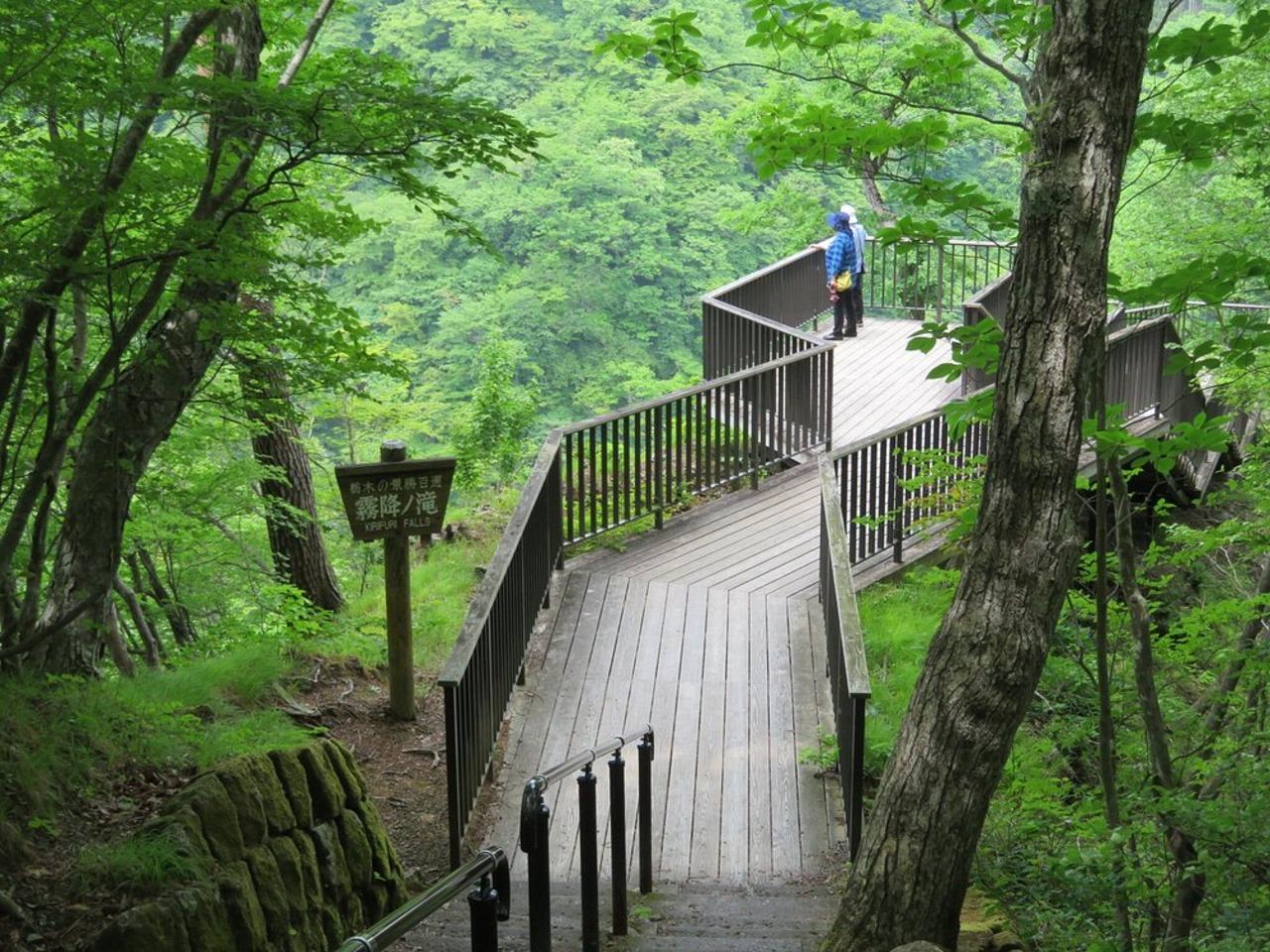 Nikko's Majestic Landscapes: Private Guided Tour - Getting local: food time and shopping without wrecking the schedule