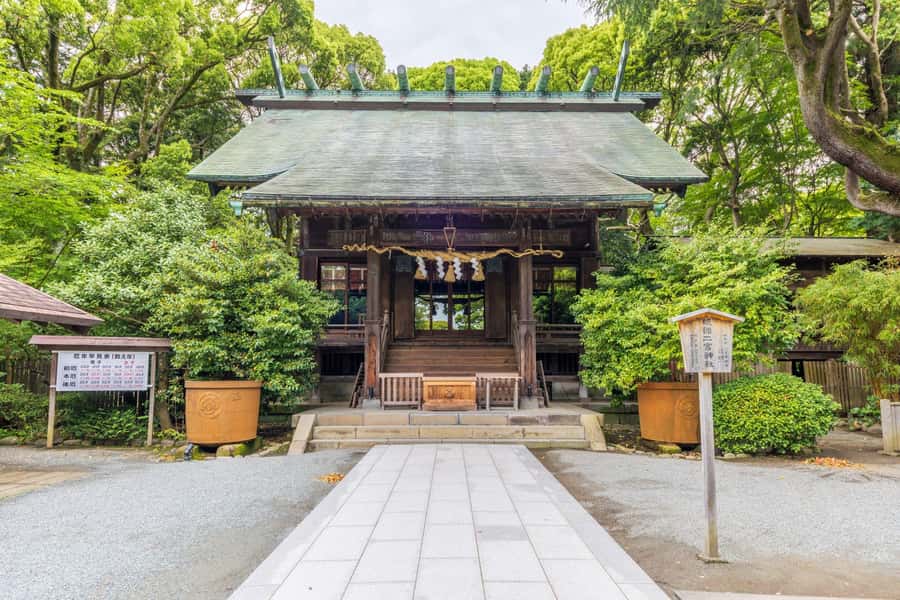 Odawara: Guided Ninja & Samurai Tour of Odawara Castle - Ninja Museum workshop after hours: training in the right setting
