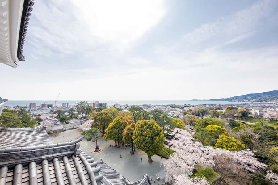 Odawara: Guided Ninja & Samurai Tour of Odawara Castle - Price and value at about $116 for 150 minutes