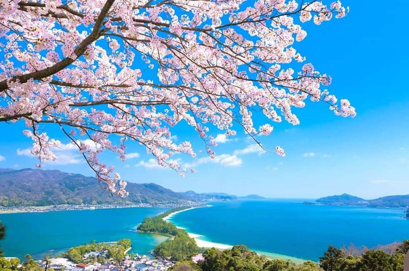 Osaka: Kyoto By The Sea with Amanohashidate & Ine no Funaya - Lunch and timing: how to eat without losing momentum