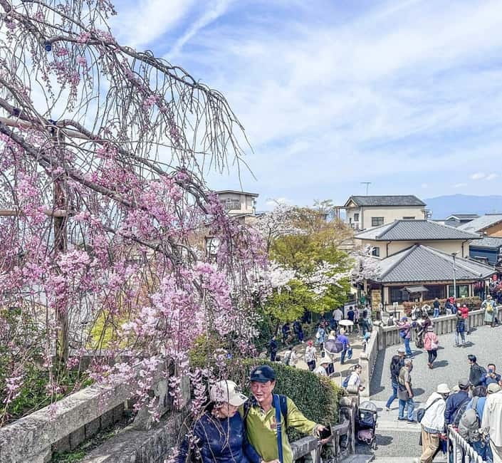 Osaka/Kyoto/Nara: Private Full-Day Sightseeing Tour - Key Takeaways Before You Plan