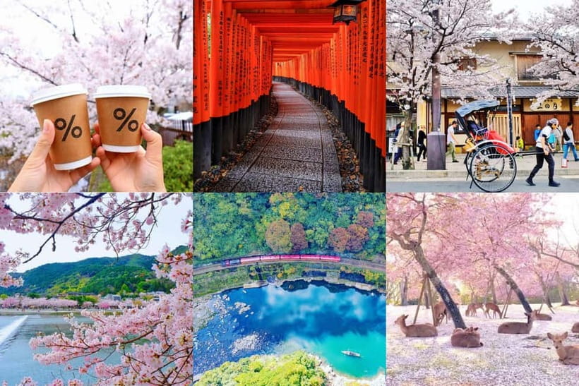 Osaka/Kyoto/Nara: Private Full-Day Sightseeing Tour - Private Kyoto Day Trips by Car: How the Flexibility Really Helps