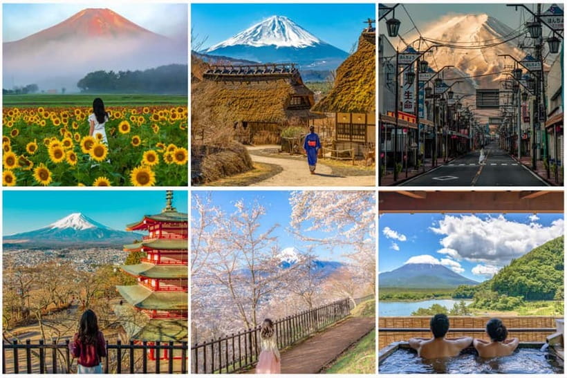 Osaka/Kyoto/Nara: Private Full-Day Sightseeing Tour - Kodaiji Temple, Yasaka Shrine, and Hanami-koji Street: Kyoto’s Story in Motion