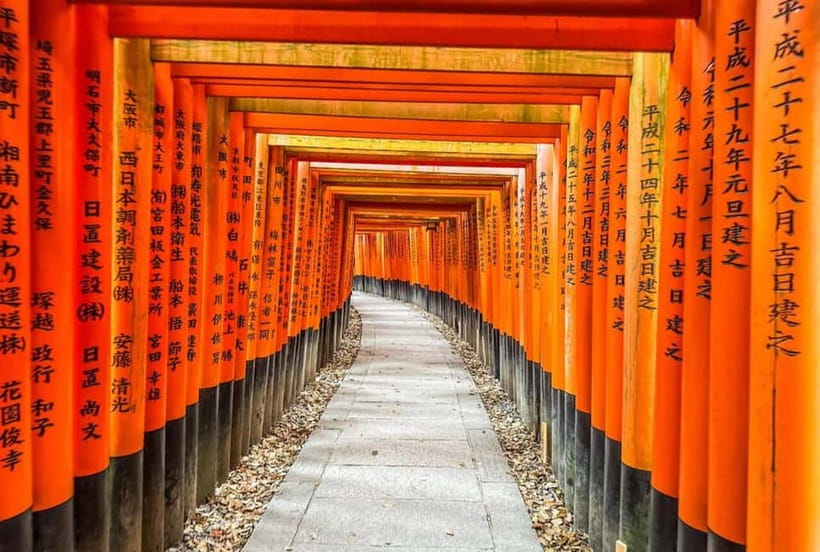 Osaka/Kyoto/Nara: Private Full-Day Sightseeing Tour - Price and Value: When $439 Makes Sense (and When It Doesn’t)