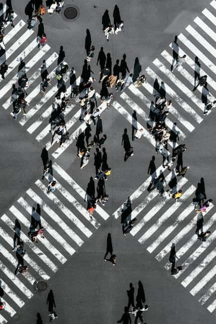 Osaka/Kyoto/Nara: Private Full-Day Sightseeing Tour - Reliability Check: The Red Flag You Should Not Ignore