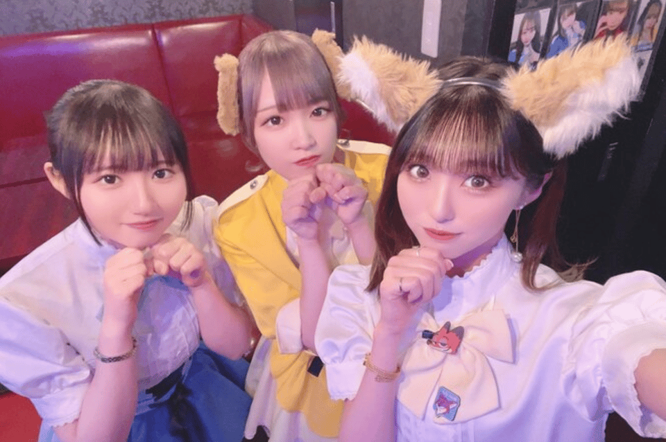 Private Akihabara Anime Game Maid Cafe Tour w/ free pickup - Akihabara, Guided: Getting Oriented Fast in Japan’s Anime Capital
