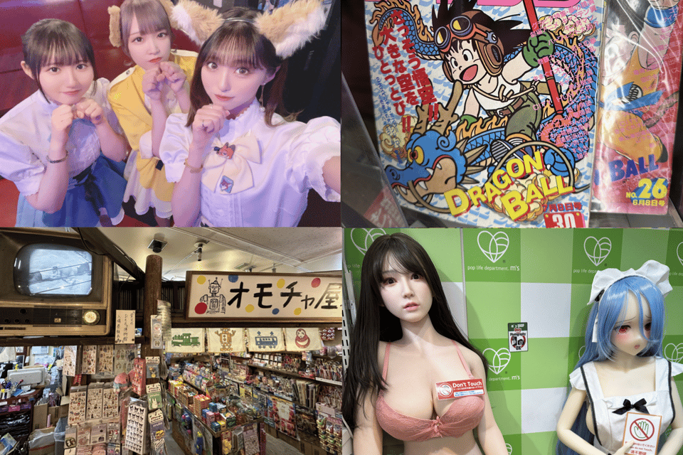 Private Akihabara Anime Game Maid Cafe Tour w/ free pickup - The Main Walk in Akihabara: Stores You Might Otherwise Skip