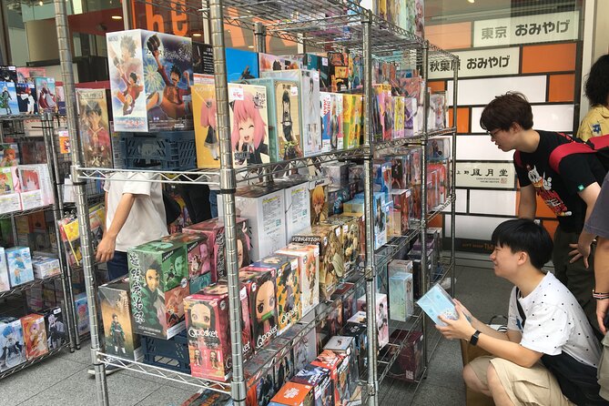 Private Akihabara Anime Guided Walking Tour - English-speaking private guide: the real engine of the tour