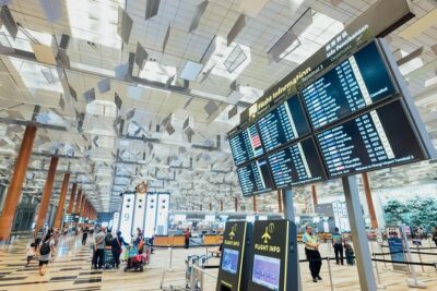 Private Arrival Transfer : Narita International Airport to Tokyo Disney - Flight Delays, Waiting Time, and What to Do If Plans Change