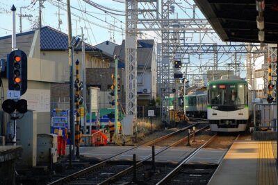 Private Day Tour In Tokyo with a Native English Speaker - Shibuya: Crossing Power, Hachiko, and Modern Tokyo Energy