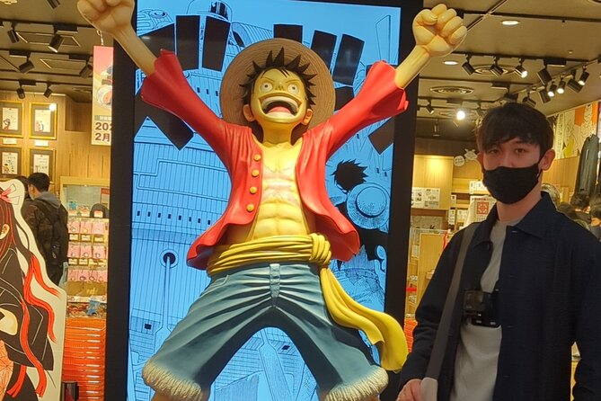 Private Day Tour In Tokyo with a Native English Speaker - Akihabara: Electronics, Anime, and Cosplay Shopping Time