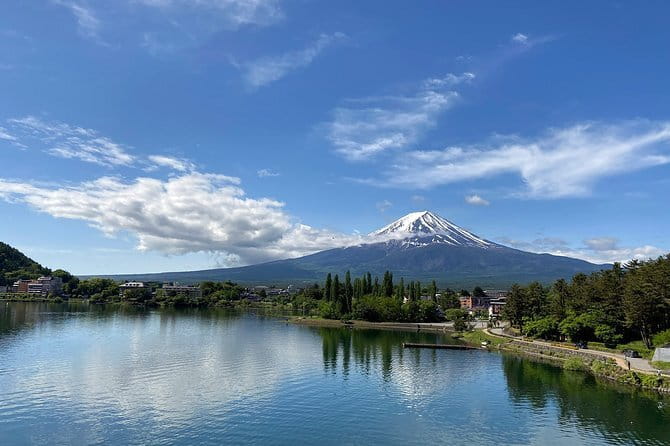 Private Fuji Half-day Car Tour with Hotel Pickup and Local Guide - Food and drink stops: sake and craft beer without the heavy schedule tax