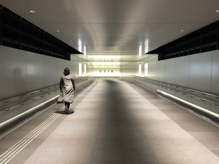 Private Ginza Architecture Tour - Who This Private Ginza Architecture Tour Is For