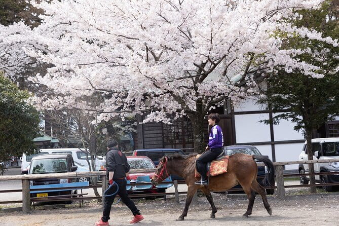 Private Hiking Tour to View Mt. Fuji - Stop Moments Built for Photos, but Also for Perspective