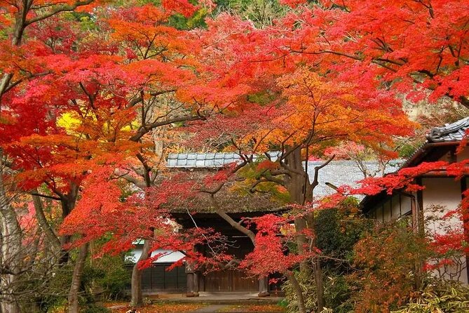 Private Kimono photo shooting tour in ancient city Kamakura - Should you book this tour, or DIY it?