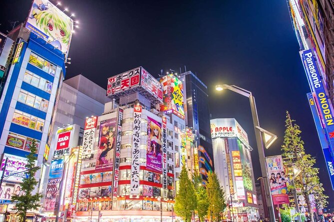 Private Layover Experience in Luxury SUV (5-6 Hours) - Akihabara for anime, manga, and electronics (about 1 hour)
