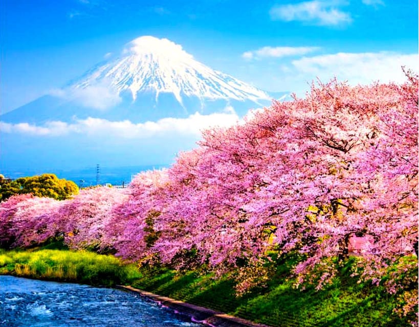 Private Mount Fuji sightseeing Day trip with English Guide - Chureito Pagoda: The Classic Fuji Photo Target