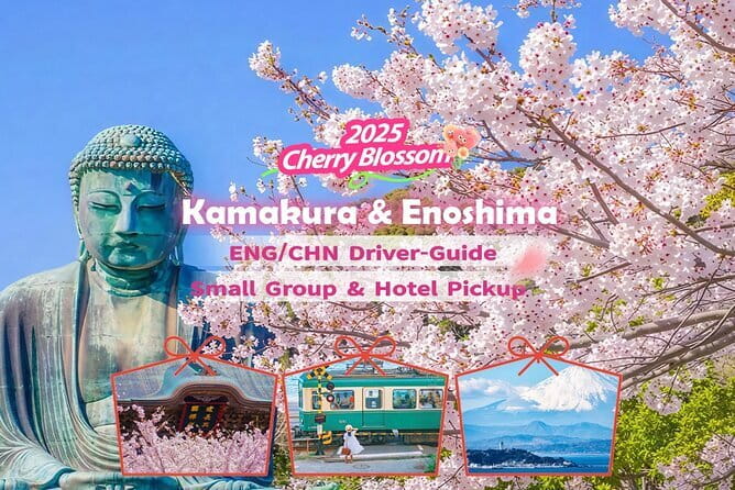 Private Tokyo Tour with Local Guide - Ueno Park and Ameyoko: culture space then street shopping