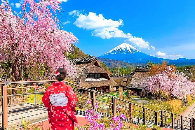 Private Tokyo Tour with Local Guide - Price and what’s included versus what you’ll still pay